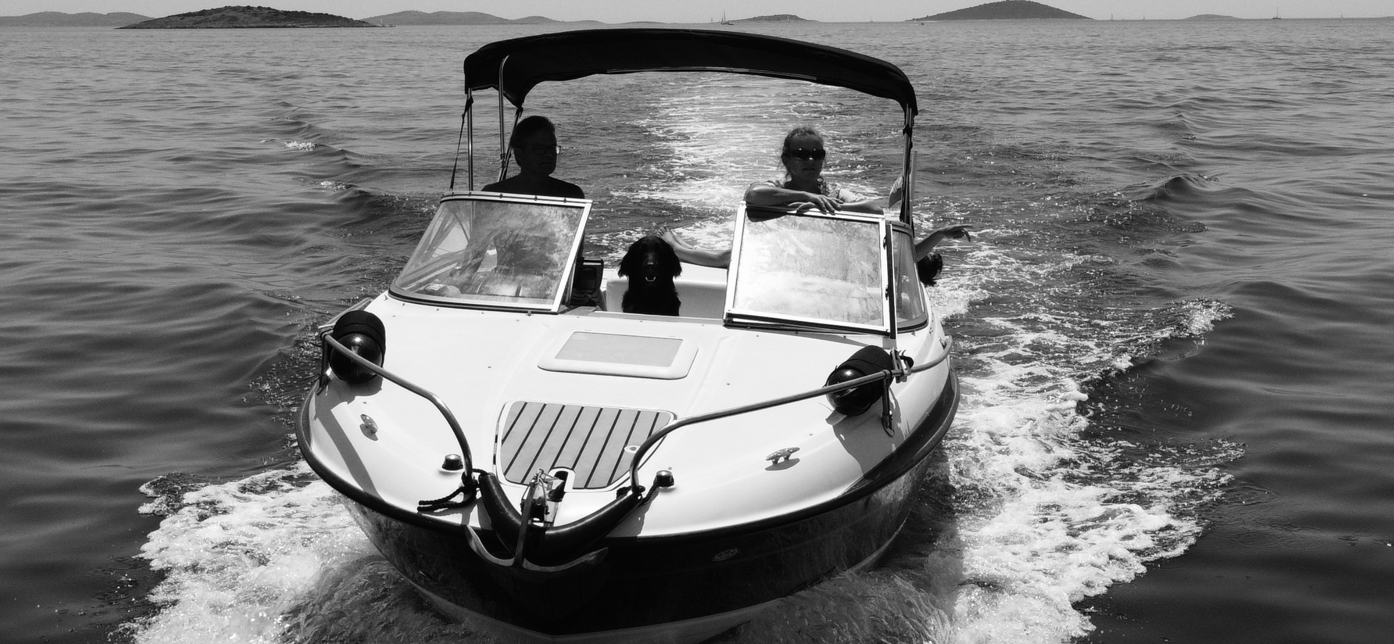 Dog on boat platform (placeholder)